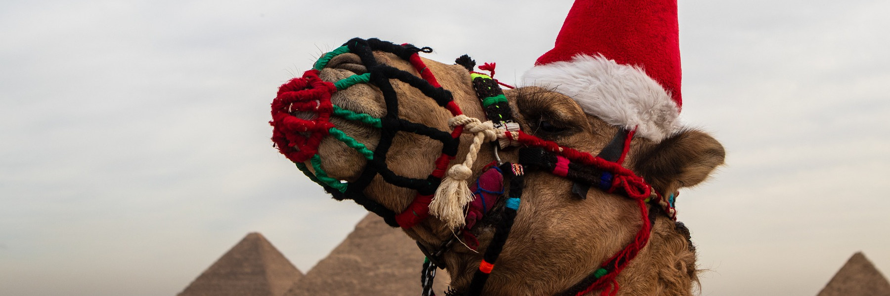 Weihnachten Silvester in Ägypten 2024 & 2025 Nilkombi über Aegypten